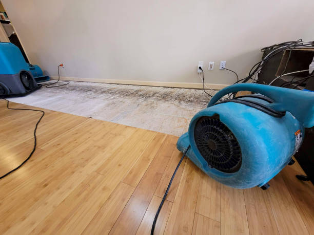 Professional Basement Flood Cleanup technician working in Lore City, OH